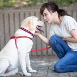サービス内容が変更になりました サービス内容が変更になりました