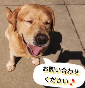 新入生の受付について