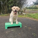 年末のお知らせ 年末のお知らせ