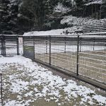 謹賀新年 謹賀新年